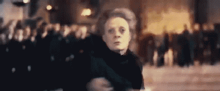 Minerva McGonagall Attacking Snape